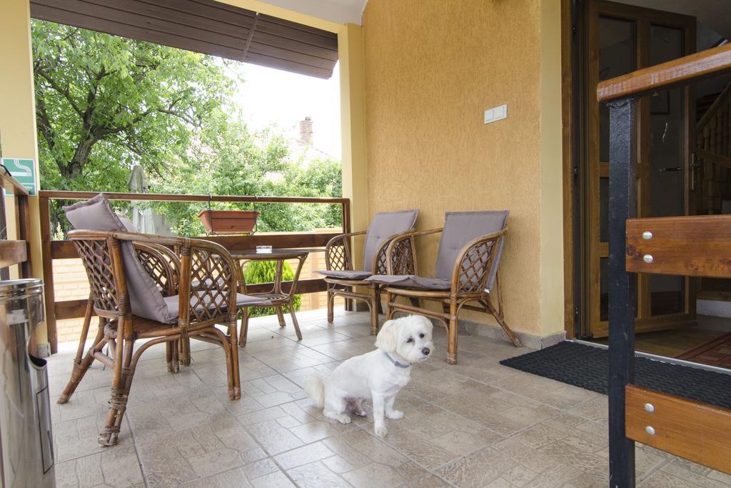 Pension Alexia Sibiu Exterior photo